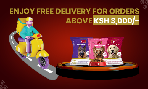 Free delivery offer on orders above Ksh 3000/-